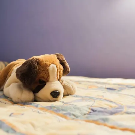 Vacaciones Apartamento